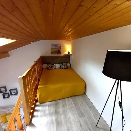 La Palmyre - Agreable Mitoyenne - Piscine Collective *