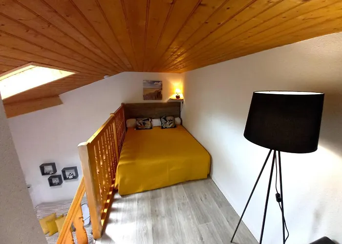 La Palmyre - Agreable Mitoyenne - Piscine Collective *