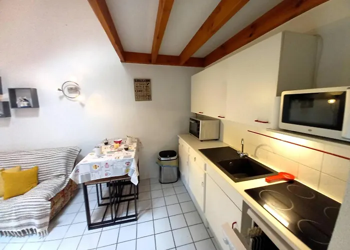 La Palmyre - Agreable Mitoyenne - Piscine Collective Διαμέρισμα *